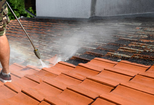 Best Garage Pressure Washing  in Ramsey, MN