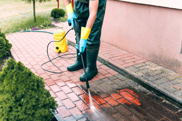Best Roof Pressure Washing  in Ramsey, MN