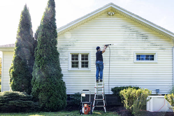 Best Roof Pressure Washing  in Ramsey, MN