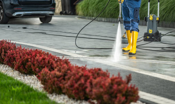Best Pressure Washing Services Near Me  in Ramsey, MN