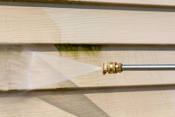 Best Deck Pressure Washing  in Ramsey, MN