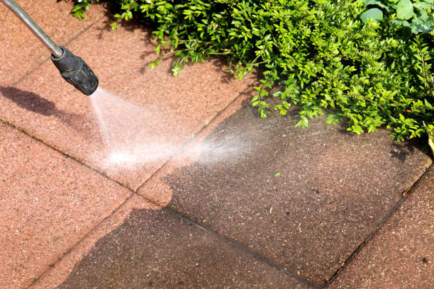 Best House Pressure Washing  in Ramsey, MN